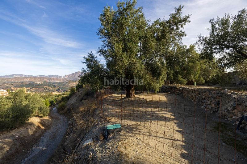 Foto 6a68a4af-e1cb-473a-a527-c69bbcb9d027. Finca rústica a Lecrín