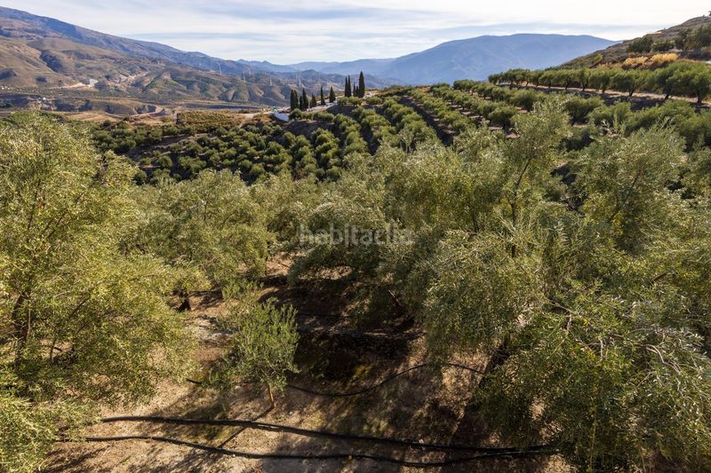 Foto df40e7e3-0ec3-4eec-a7cc-cfb5dfce1a50. Finca rústica a Lecrín