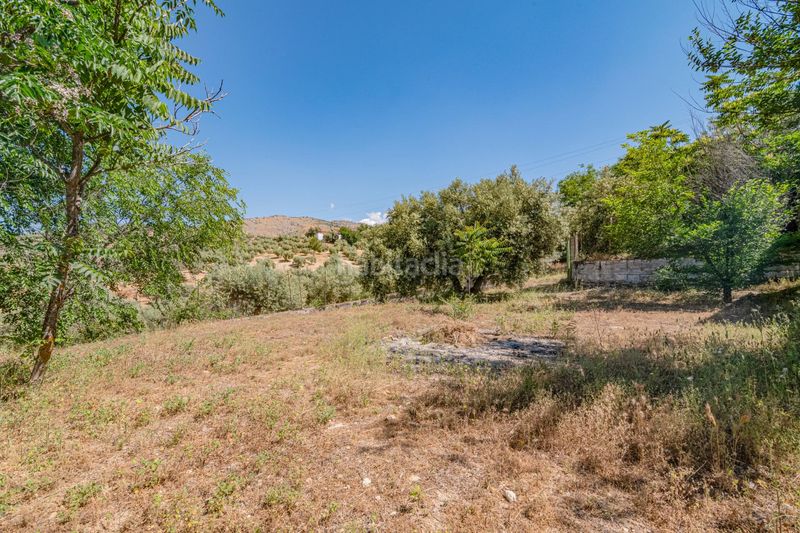 Foto 115220d5-ef0d-4442-9560-b7dae0ebe10c. Finca rústica a Íllora