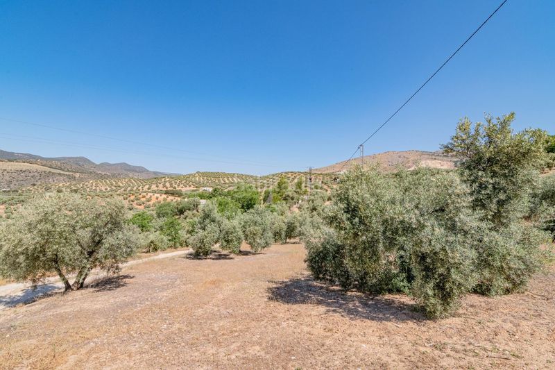 Foto 4cc2fd56-f8c8-4a98-9951-edb68e110227. Finca rústica a Íllora