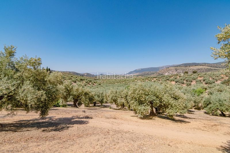 Foto b2785ea5-5d4f-486b-8cdf-daf3303b2c1c. Finca rústica a Íllora