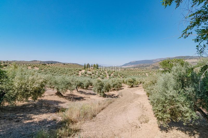 Foto b533c47a-9077-439f-ac64-b544e1811155. Finca rústica a Íllora