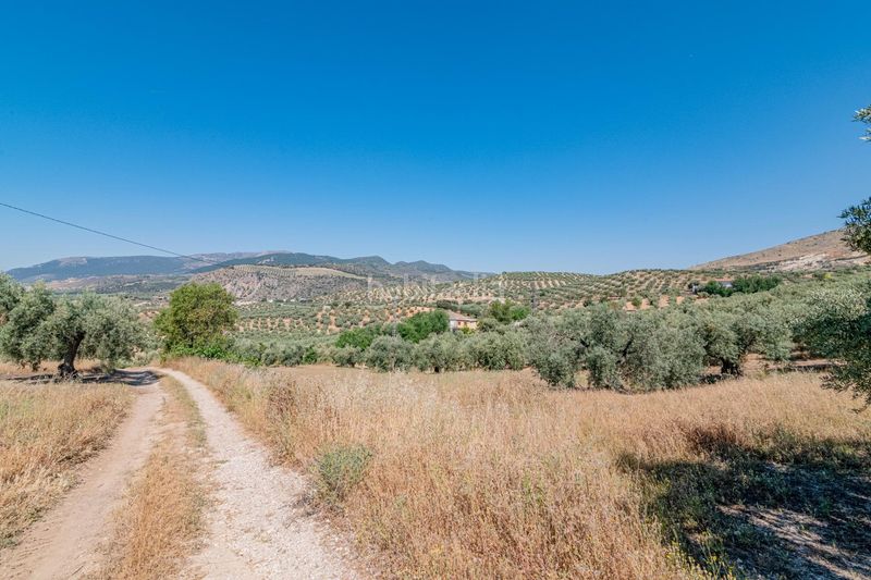 Foto d55c8a83-5e69-47ca-8d5f-441d9c2e441d. Finca rústica a Íllora