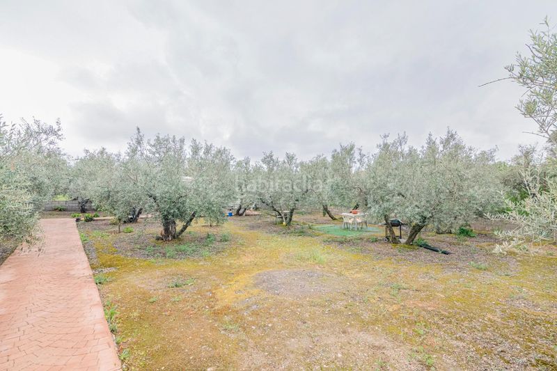 Foto 9fa86c02-9cea-4262-9ad9-3e08a4549780. Finca rústica a Ogíjares