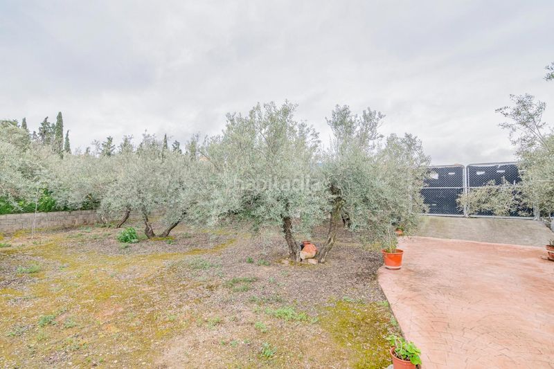 Foto d133e0ed-6cd7-48ac-9943-9506019ced0c. Finca rústica a Ogíjares