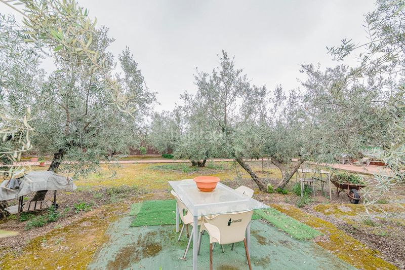 Foto f31be4d1-59c0-46a2-85aa-155c3b572695. Finca rústica a Ogíjares