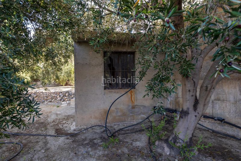 Foto bd09e69c-4d04-4766-a623-fa5a649bc4fd. Finca rústica a Pinar (El)