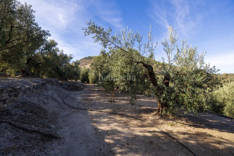 Foto d70e5332-d6b6-40ad-8704-0322d050a975. Finca rústica a Pinar (El)