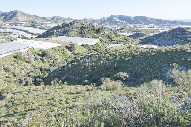 Foto 6f82fca5-5c4a-4149-8c28-bd66dc10a73b. Finca rústica a Los Tablones - La Garnatilla Motril