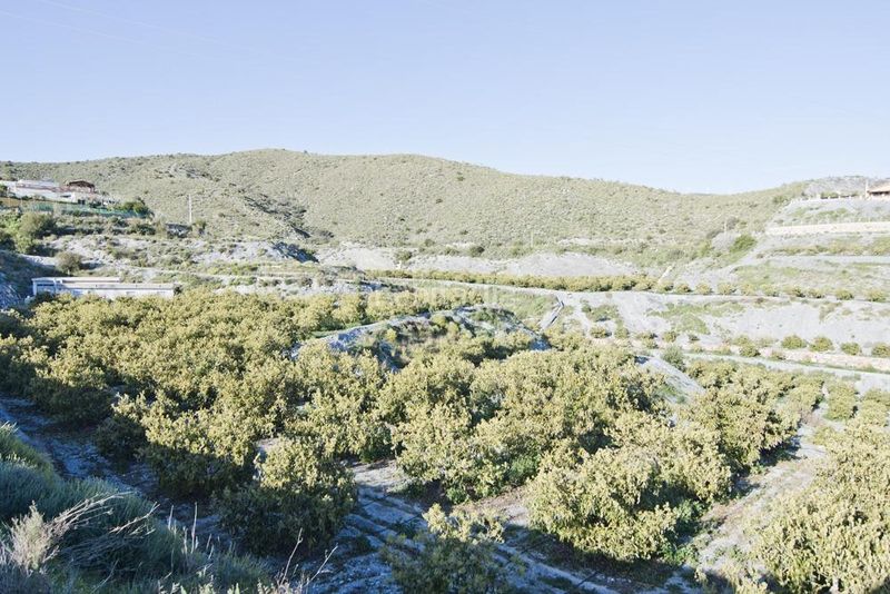 Foto 87615ea5-72e7-47b7-97a7-dd81b29ce798. Finca rústica a Los Tablones - La Garnatilla Motril