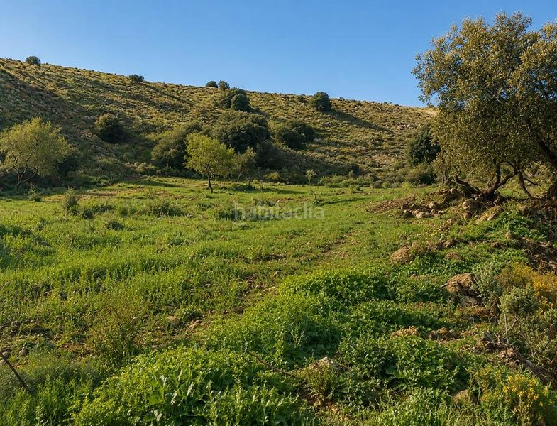 Foto c89235c6-0ffc-42fa-b73f-7d2efb2098e8. Finca rústica a Órgiva