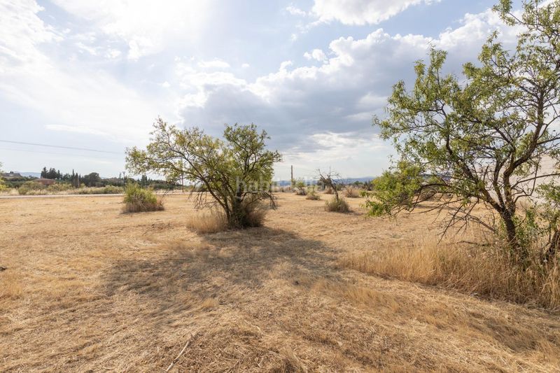 Foto 468d5540-1294-4910-b4bd-f0c56bbab3e3. Finca rústica a Moraleda de Zafayona