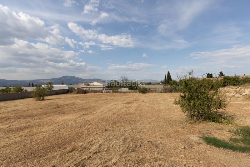 Foto 9a0b2627-f106-41a5-aa5a-16346b92e9f9. Finca rústica a Moraleda de Zafayona