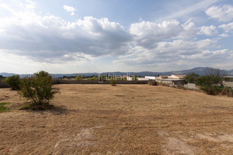 Foto e6dda4c2-a151-487b-a8a1-fd0b16ca00c7. Finca rústica a Moraleda de Zafayona