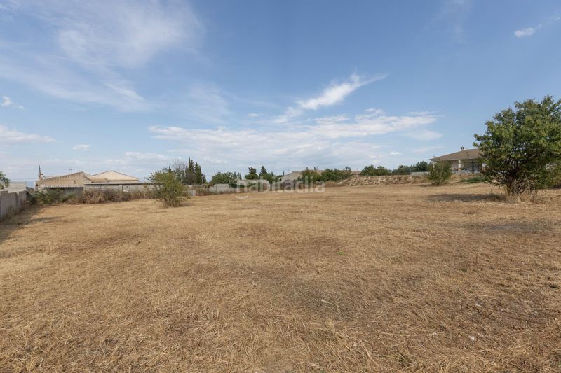 Foto f8a0de57-2017-48da-bfc7-d57d62193211. Finca rústica a Moraleda de Zafayona