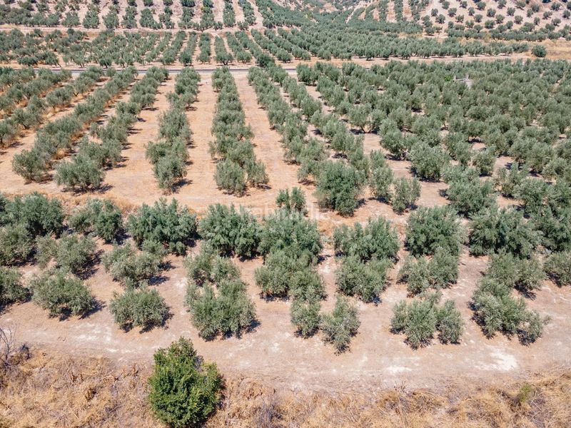 Foto 145ae919-4668-4160-9208-71a5e71e01b9. Finca rústica a Deifontes