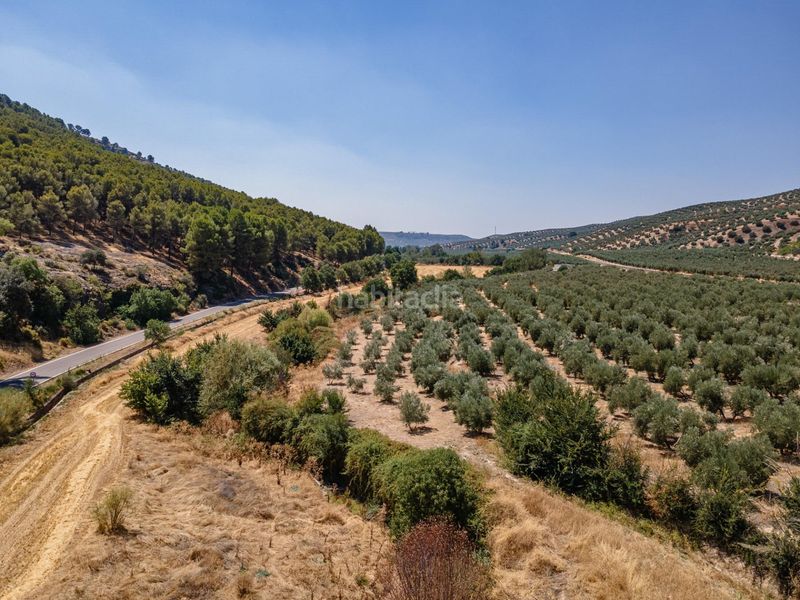 Foto d965ffb0-4e92-4327-9292-5522b4932ff4. Finca rústica a Deifontes