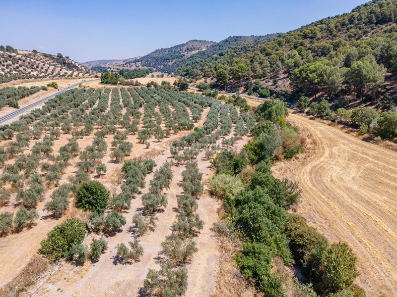 Foto f7c5412d-8b72-4534-bc10-a1513caf27df. Finca rústica a Deifontes
