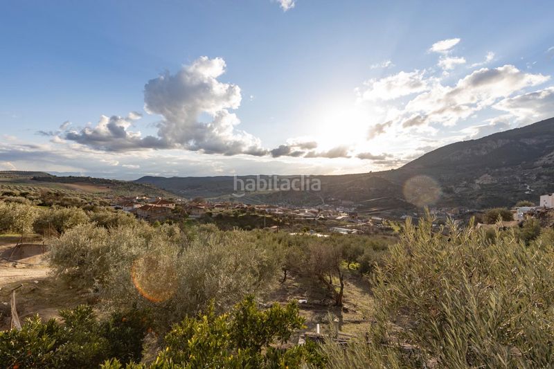 Foto ffe6f50f-b15b-496c-b670-b0cacbdb7027. Pis a Moclín
