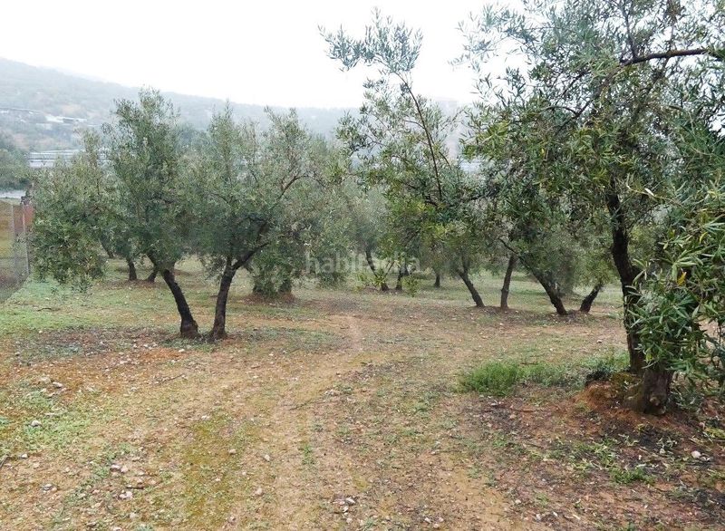 Foto 1707d301-18ed-44ac-b61e-a37c4152e508. Finca rústica a Peligros