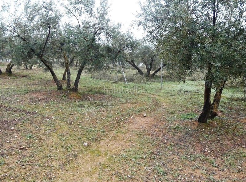 Foto 2d90c886-b265-4d00-8bfb-a46e676c092e. Finca rústica a Peligros