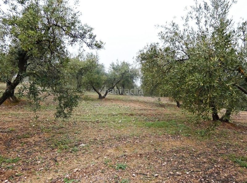 Foto 3b94f9e6-8f3f-4f62-ba70-2528dc3009b4. Finca rústica a Peligros