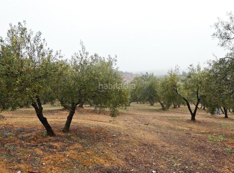 Foto 5f73ab0c-dc32-4515-9d49-7a06395e2179. Finca rústica a Peligros