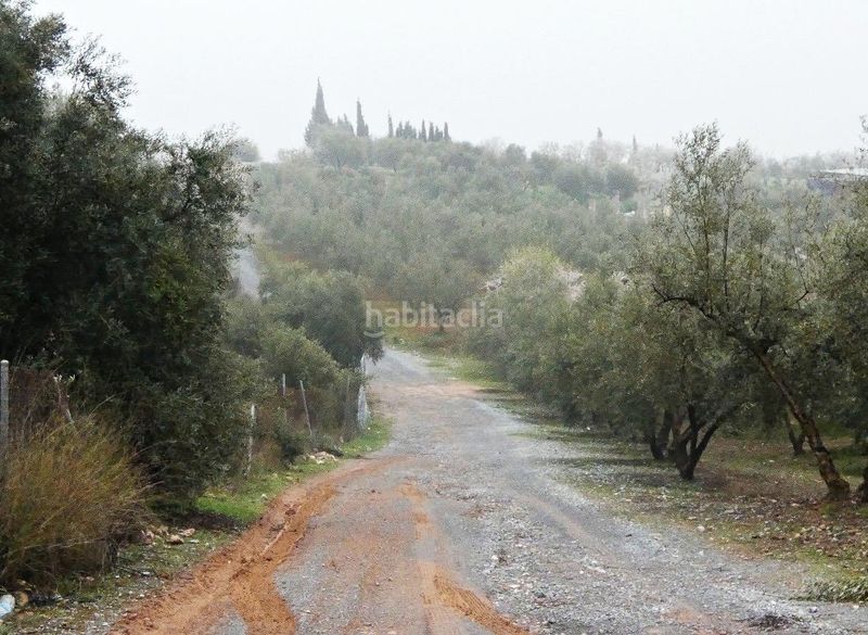 Foto 777c40d5-f04e-41f5-a771-c766f052de24. Finca rústica a Peligros