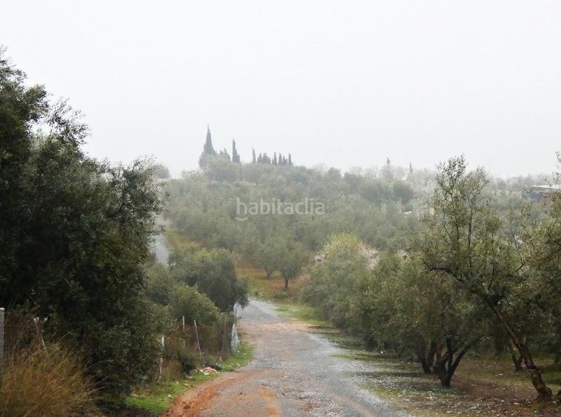 Foto aacde9e3-7d5a-44f2-9346-a5a917492494. Finca rústica a Peligros