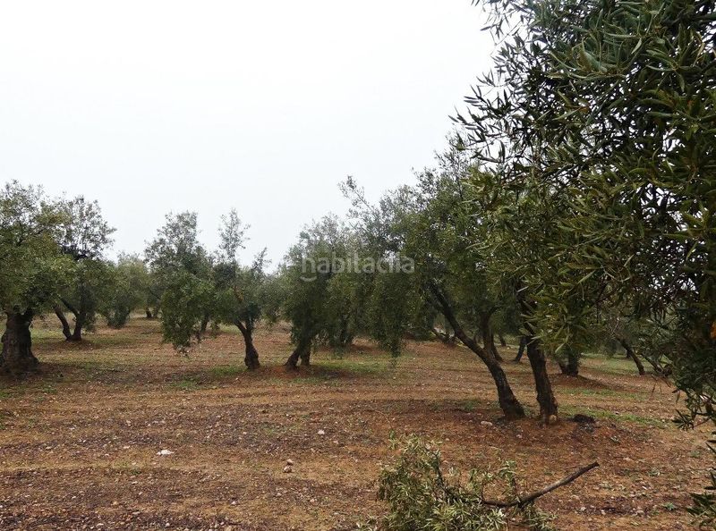 Foto d12421ce-e6c1-44f1-a491-47221f93bdea. Finca rústica a Peligros