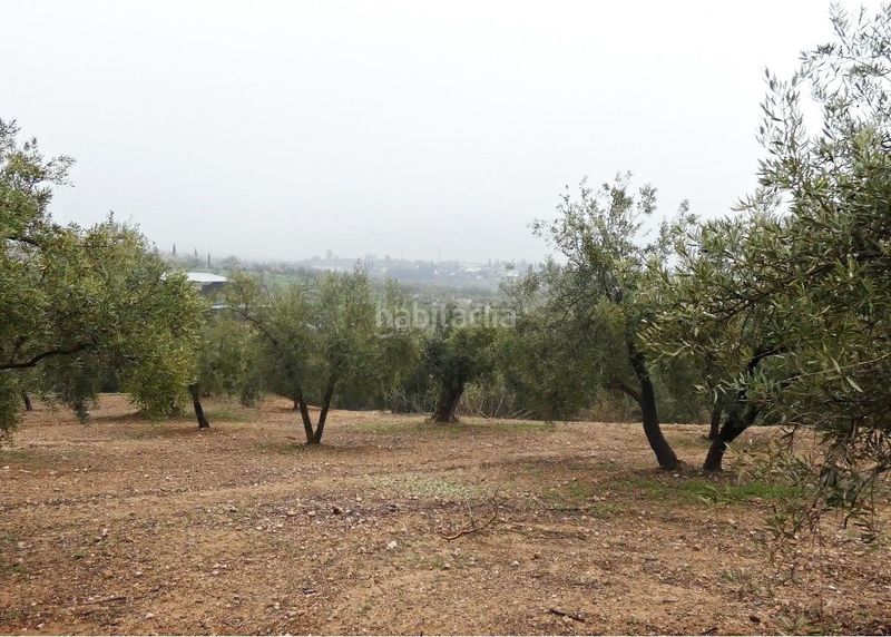 Foto d48ff41c-b74a-49bc-87e2-d14d7fca22af. Finca rústica a Peligros
