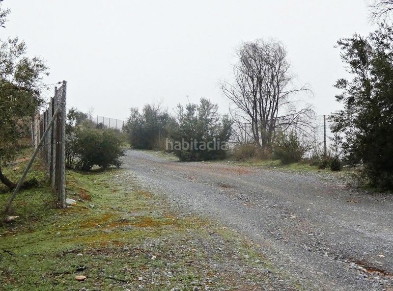 Foto d554525a-afed-49fc-8756-1b718d2cfc06. Finca rústica a Peligros