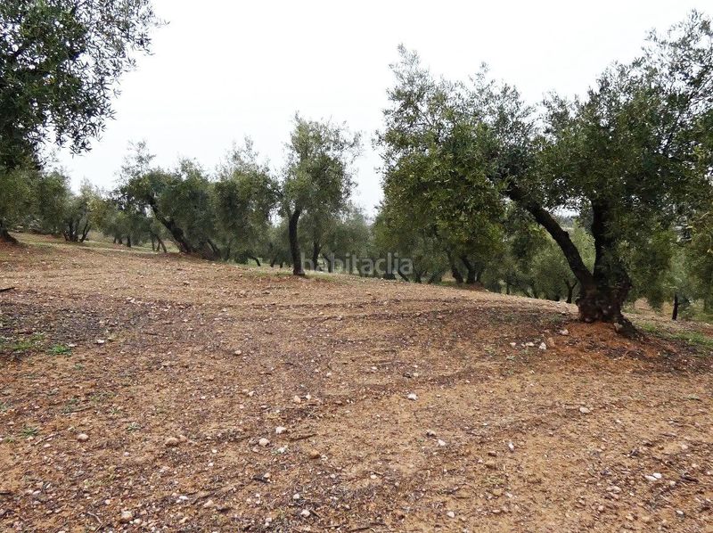 Foto db5244e5-a02b-4a39-bab2-2660cd3e3168. Finca rústica a Peligros