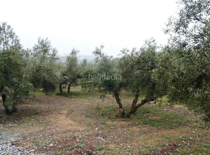 Foto dbbc249a-75c4-4777-9adc-0d145e002ac2. Finca rústica a Peligros