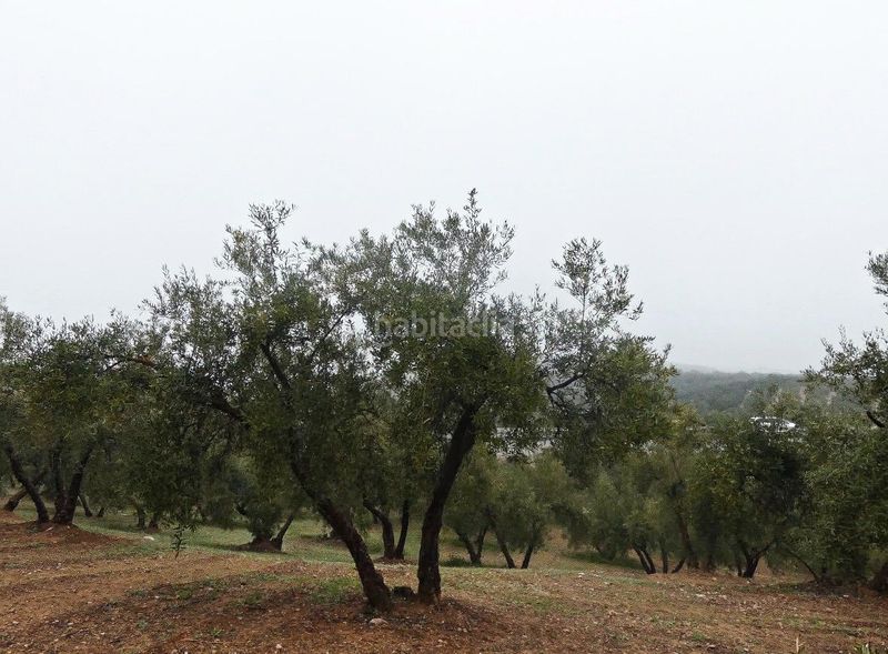 Foto de517055-57c7-45c6-b52e-47ac5b14f396. Finca rústica a Peligros