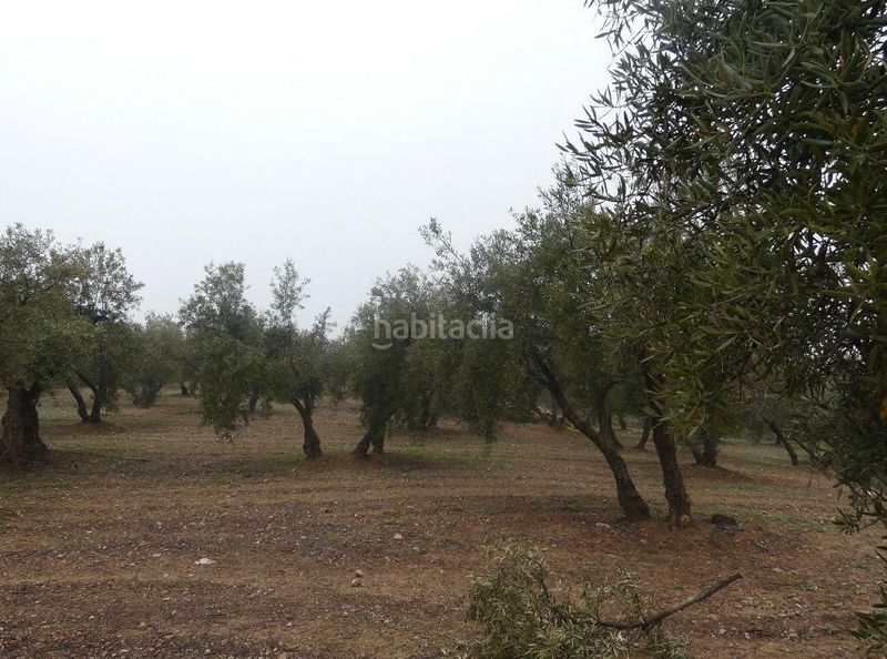 Foto 04fe70cb-4b08-41ab-9a73-86b9e2ba491e. Finca rústica a Peligros