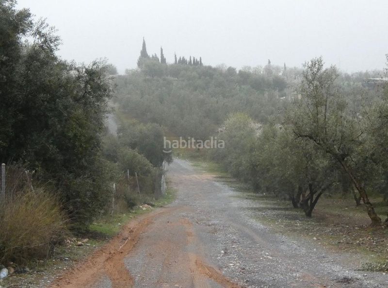 Foto 0e9e1dd9-00b9-4d36-a876-6af62cf1c1e4. Finca rústica a Peligros