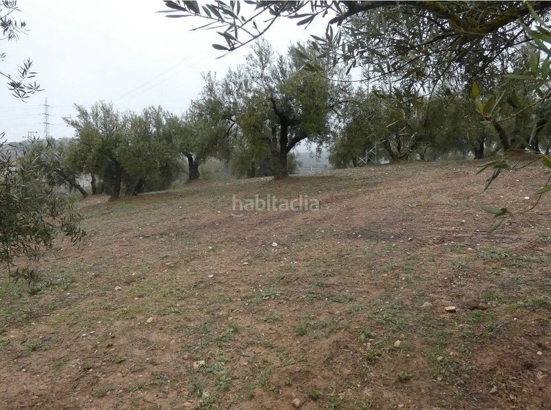Foto 25be73d0-31f1-42a2-908b-d985468120ee. Finca rústica a Peligros