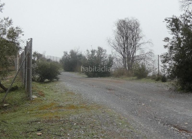 Foto 62ea8625-1d47-48af-a8b9-86e45e983a4d. Finca rústica a Peligros