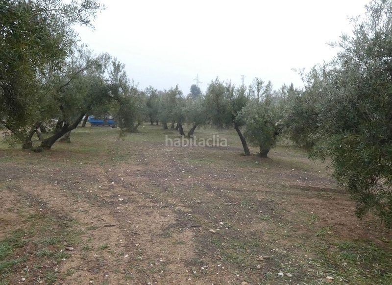 Foto 78cd7672-dde3-4a1a-9986-4c297ec2fd49. Finca rústica a Peligros
