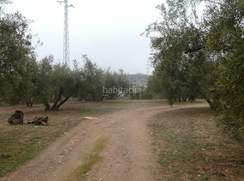 Foto 8a97340e-a7c8-49d0-baf1-5a940e323e31. Finca rústica a Peligros