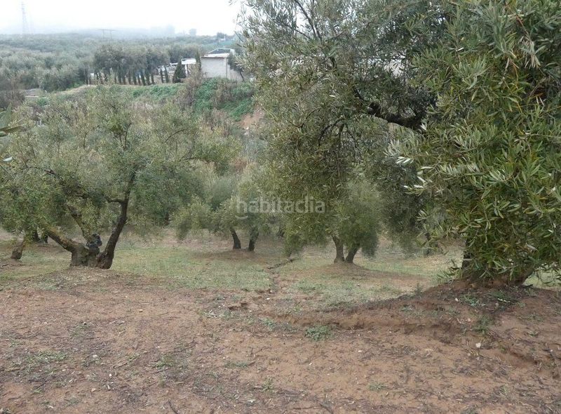 Foto a202b467-dbe1-43c8-8312-fe4993f36f75. Finca rústica a Peligros