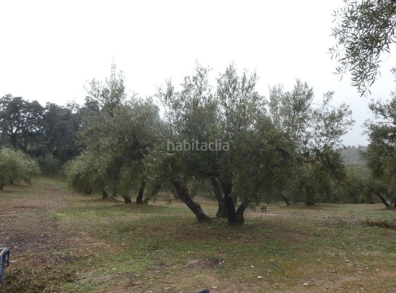 Foto b72d305d-536e-42eb-92ab-831061d70775. Finca rústica a Peligros