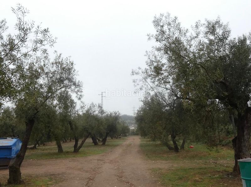 Foto c543c43d-b0d6-4e92-9456-ea7ae6ba6050. Finca rústica a Peligros