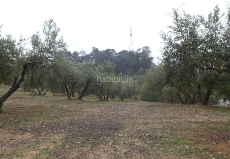 Foto e9693a9b-2616-4dbb-9d2e-2a5b1ef62262. Finca rústica a Peligros