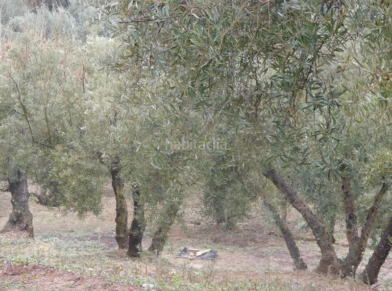 Foto eab4f7da-0fd5-4075-ba5c-d45e88b75630. Finca rústica a Peligros