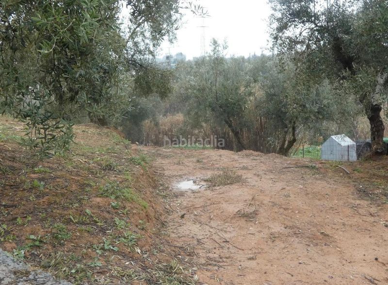 Foto f3f8dd1d-cd5c-46ec-9809-5b72358843d9. Finca rústica a Peligros