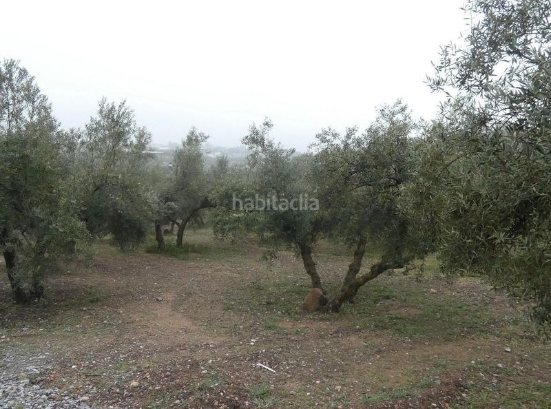 Foto f7394f24-add8-436e-a0de-5856225da1d5. Finca rústica a Peligros
