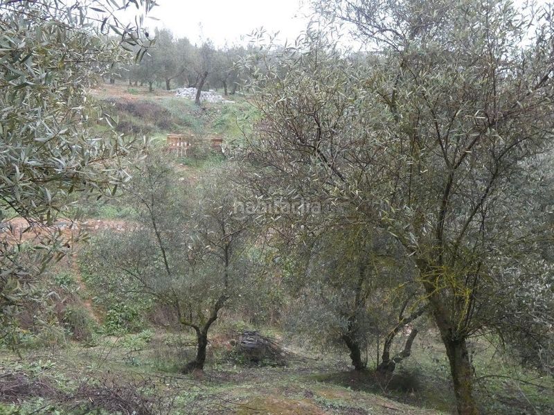 Foto f9da45f9-6159-4613-8a27-f538082d3656. Finca rústica a Peligros