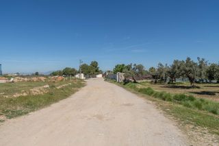 Finca rústica  Camino otura. Terrero rústico en otura
